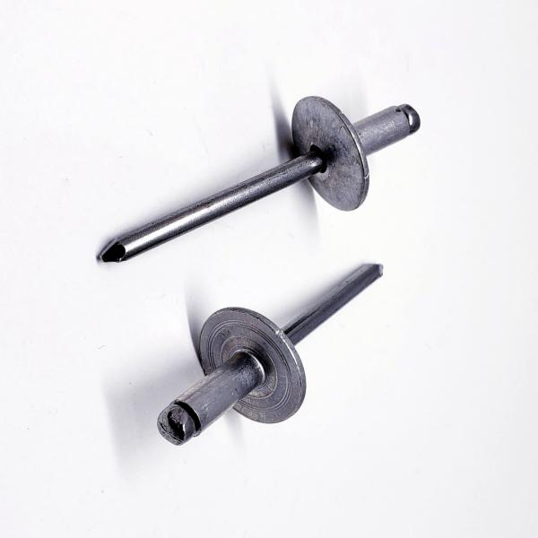 Large Flange Blind Rivets